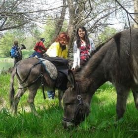 Eselwanderung & Wildkräuterführung mit Oliver Haury