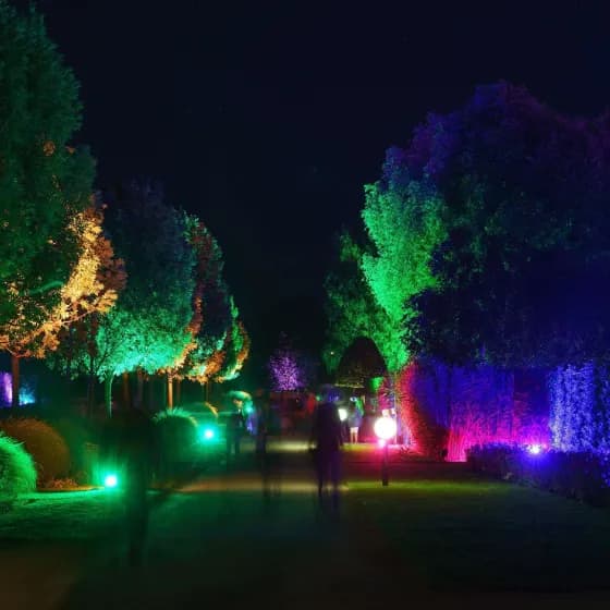 Schlosspark-Nacht  - Livemusik und Illumination