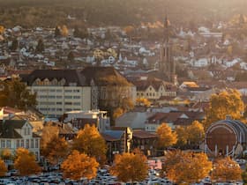 Herbstzauber: Stadtgeschichte(n), Zwiebelkuchen & Neuer Wein - Herbstzauber: Stadtgeschichte(n), Zwiebelkuchen & Neuer Wein
