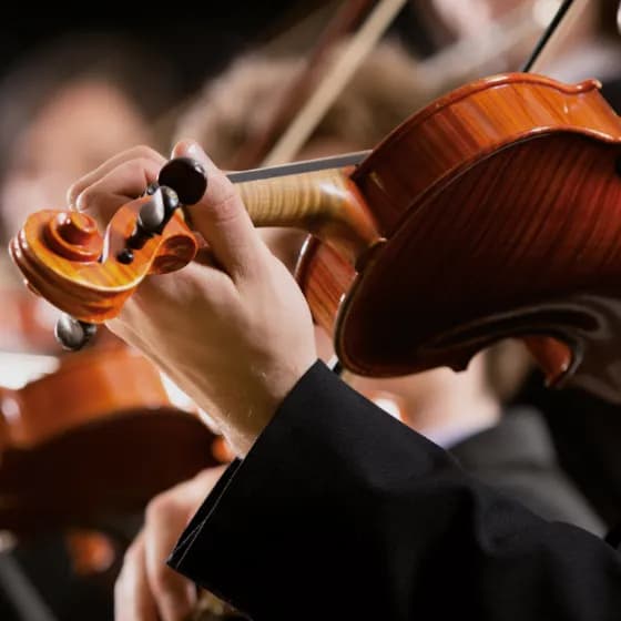 Meisterkonzerte 2026 - Weihnachtskonzert mit Tübinger Kammerorchester