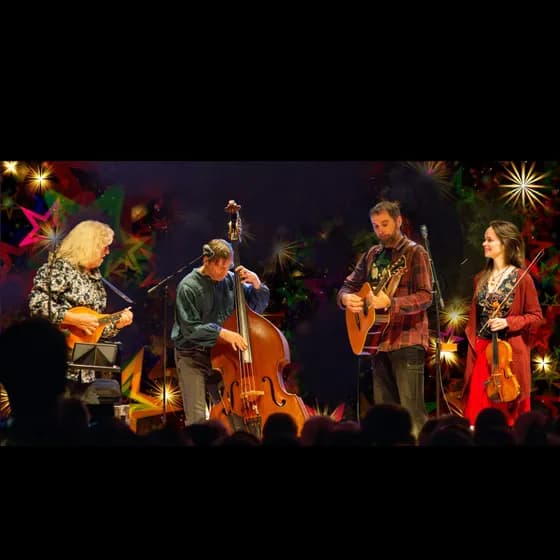 Irish Christmas - Seldom Sober & Friends