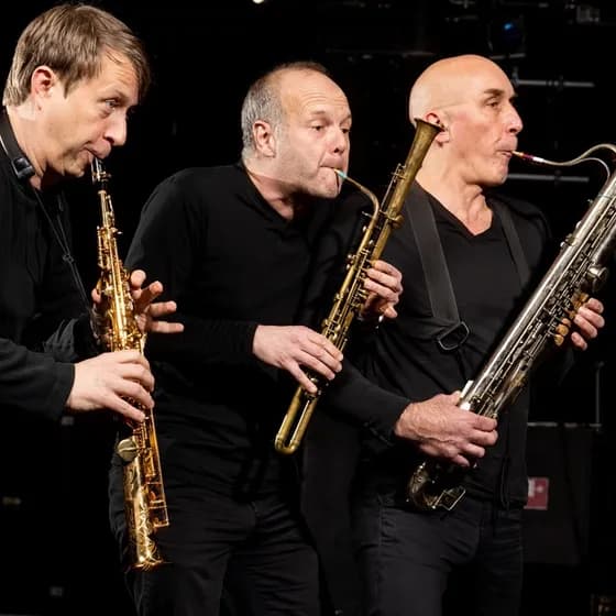 Schlosskonzerte 2026 - 4. Schlosskonzert: Trio Lézard