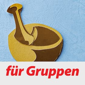Ganz schön schlau! - Gruppenvorstellung
