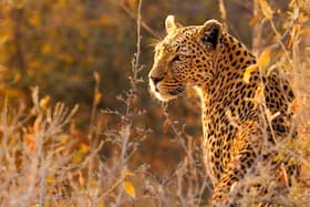 Namibia - Die Schönheit Afrikas - Eine Live-Reportage von Andreas Huber