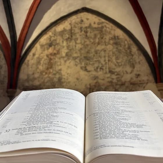 Literatur im Kloster - Lesung & Gespräch mit Millay Hyatt: Wie viele Tage muss ich gehen