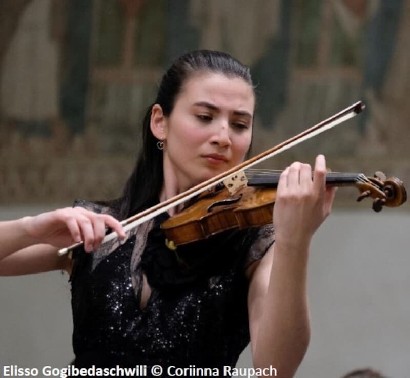 Langenargener Schlosskonzerte | Violine · Klavier