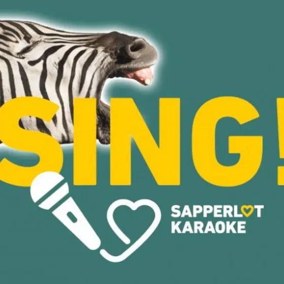 Sapperlot-Karaoke-Invasion - No1