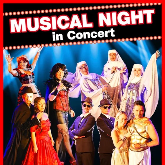 Musical Night in Concert