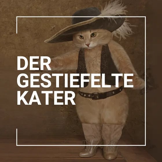 Der gestiefelte Kater  - Der gestiefelte Kater - 12. Vorstellung