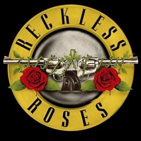HUEBBERG ROCKT - SEVEN SHOTS, A TRIBUTE TO VOLBEAT - RECKLESS ROSES, A TRIBUTE TO GUNS N´ ROSES