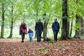 Spaziergang im Osterwald - Osterwald und Mammutbaum - ein geführter Waldspaziergang