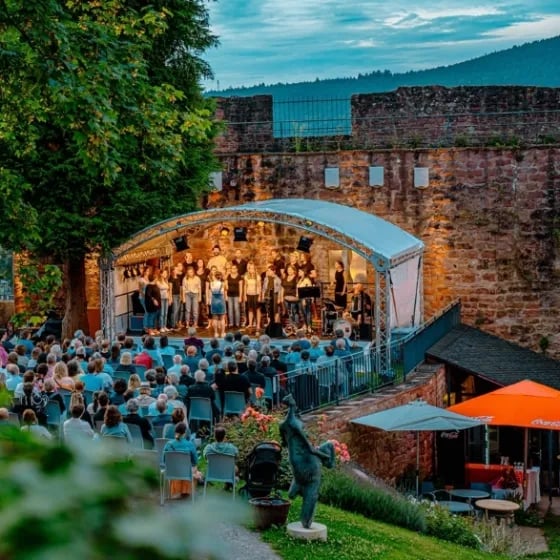 KULTURSOMMER auf der Mildenburg - Großer Irischer Abend