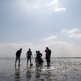 Sonnenaufgang im Watt - Geführte Wattwanderung im Nordseebad Otterndorf