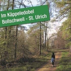 Shinrin Yoku - Waldbaden im Käppeledobel Bollschweil-St. Ulrich - Waldbaden mit erlebnisreicher Wanderung zum Waldbadepfad mit Natur- & Landschaftsführerin Veronika Sumser