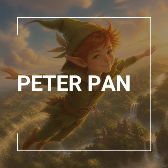 Peter Pan - SpielWerk der Dreieichschule Langen