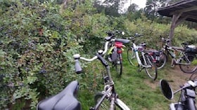 Geführte Fahrradtour mit der Urlaubsregion Ebstorf e.V. - Geführte Fahrradtour mit der Urlaubsregion Ebstorf e.V.