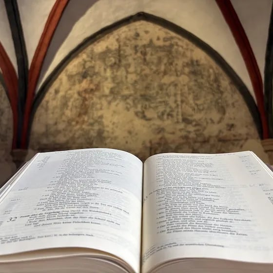 Literatur im Kloster - 6. Prenzlauer Schäferstündchen: Alexander G. Schäfer im Gespräch mit Barbara Schnitzler
