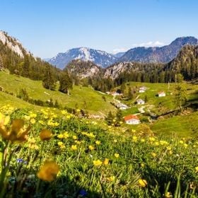 Kneipp-Aktiv-Wanderung