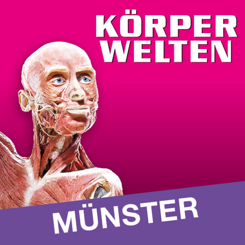 KÖRPERWELTEN | Münster | Zeitfensterticket
