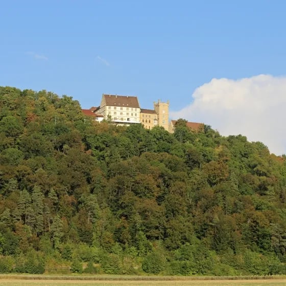 Schloss Weitenburg 2026 - Führung Schloss Weitenburg mit Afternoon Tea Time