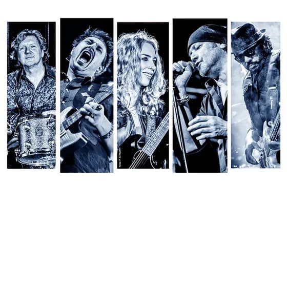 32. Rock & BluesWoche - Dan Patlansky Trio