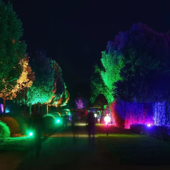 Schlosspark-Nacht - Livemusik und Illumination