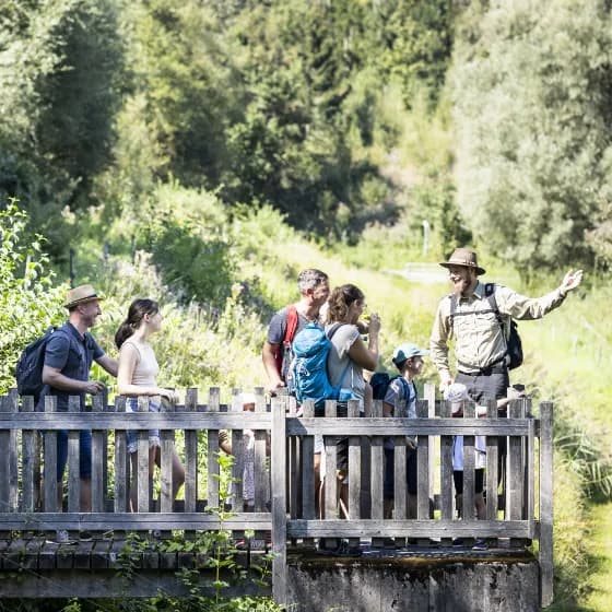 Naturkundliche Familienführung - Natur aus Menschenhand