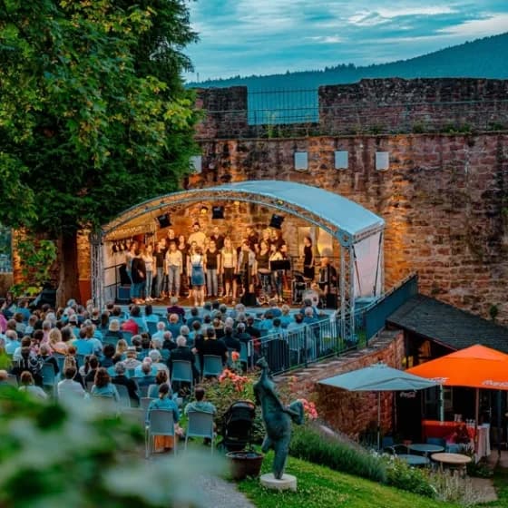 KULTURSOMMER auf der Mildenburg - Großer Irischer Abend