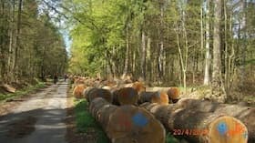 Geführte Fahrradtour mit der Urlaubsregion Ebstorf e.V. - Geführte Fahrradtour mit der Urlaubsregion Ebstorf e.V.
