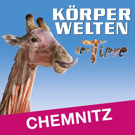 KÖRPERWELTEN der Tiere | Chemnitz | Zeitfensterticket -