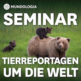 Festival-Seminare - MUNDOLOGIA-Seminar: Für Tierreportagen um die Welt