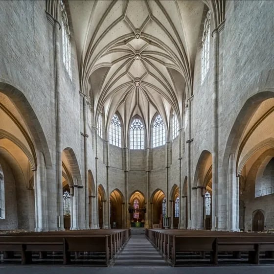 Fest der Wiener Klassik - Haydn und Beethoven im TfN