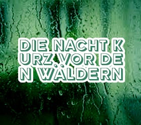 Die Nacht kurz vor den Wäldern